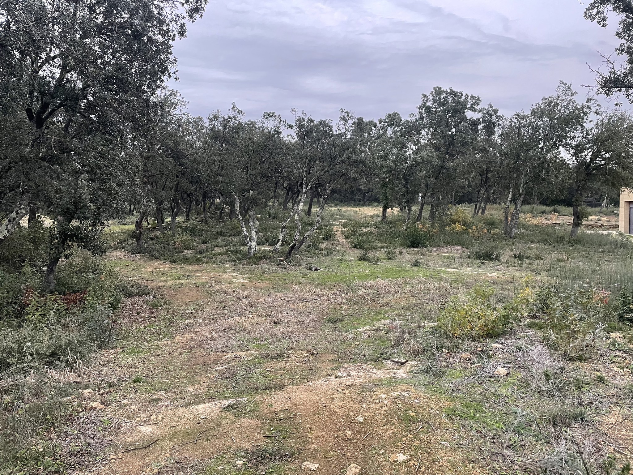 Contrôle des OLD avec l'ONF